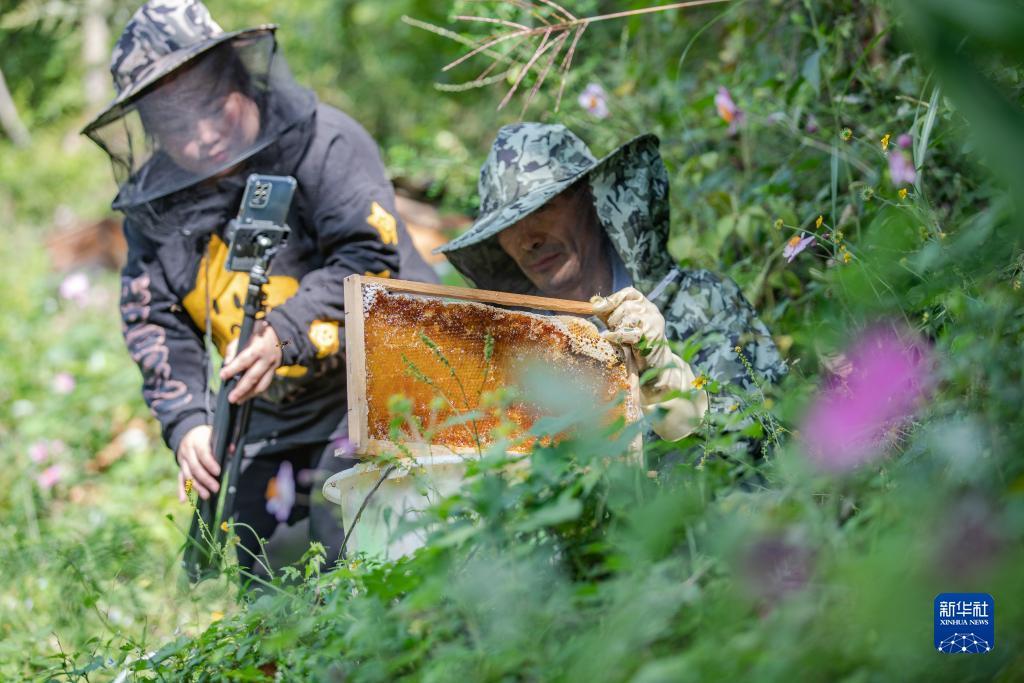 太阳城登入